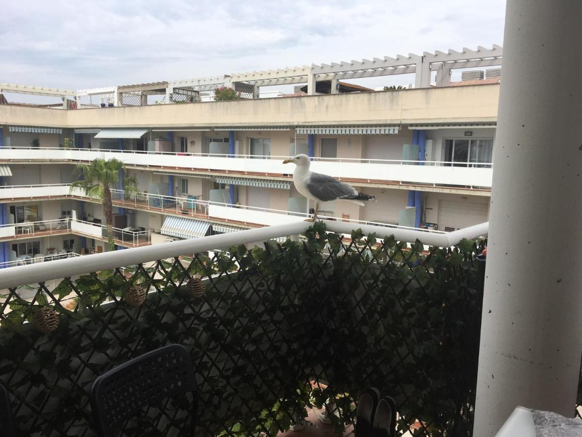 Superbe Appartement Avec Solarium Et Piscine Communautaire Roses Esterno foto